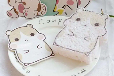 Celulózová špongia